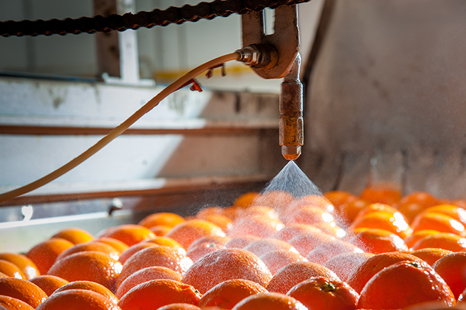 oranges being sprayed